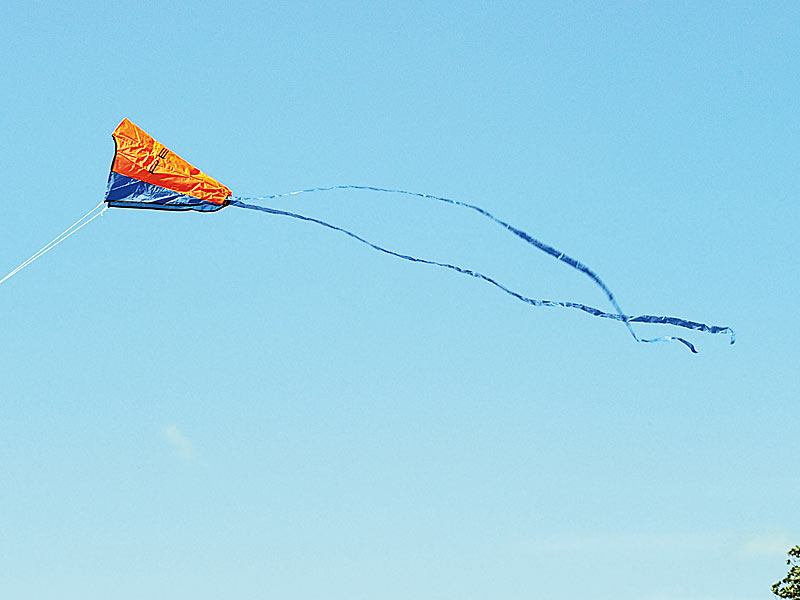 ; Kinder-Spielzeuge, GartenspielzeugeFlugdrachen KinderSportdrachen Spannweiten Drachenschnüre Flying Outdoor Schnüre Sports Kites Lenkdrachen GärtenWinddrachen 